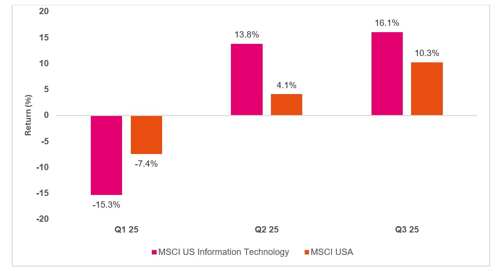 Returns of US Mega Cap companies