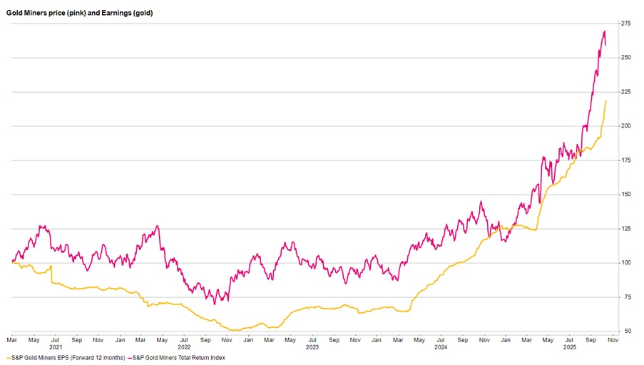 Goldmining companies return and earnings profile