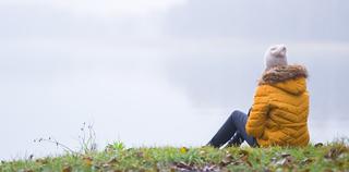 November investment market update