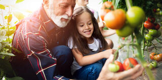 grandfather and daughter picking vegetables in the garden
