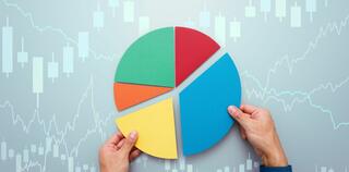 Strategy of diversified investment circle with colours