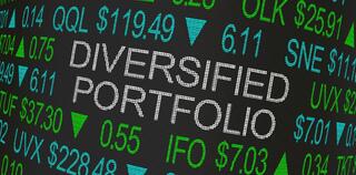 diversified portfolio label