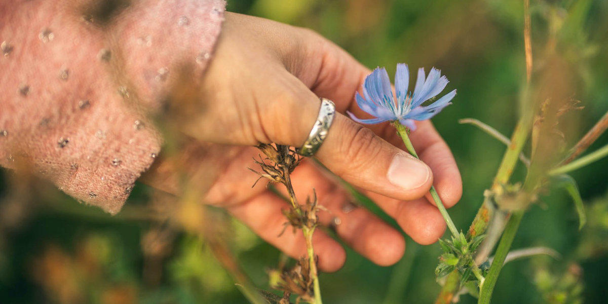 Girl picking a flower.