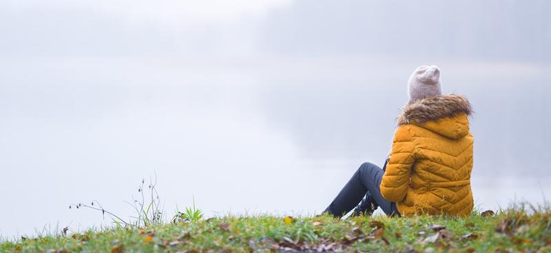 November investment market update